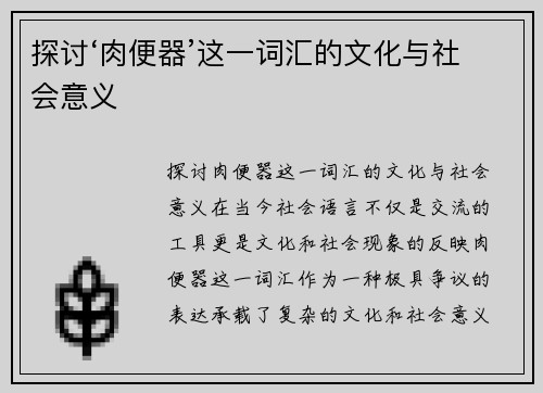 探讨‘肉便器’这一词汇的文化与社会意义